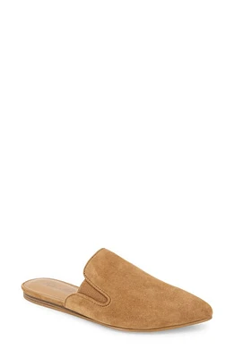 Splendid Liza Pointed Toe Mule Macchiato at Nordstrom,