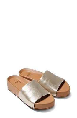 Beek Pelican Platform Slide Sandal at Nordstrom,