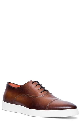 Santoni Behemoth Sneaker Dark Brown at Nordstrom,