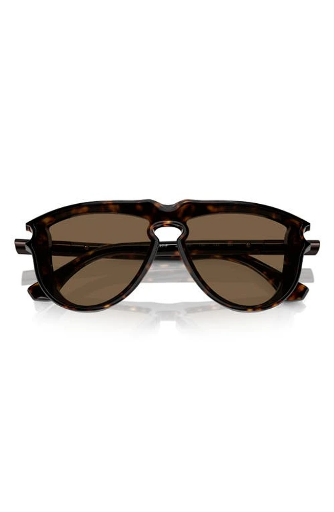 burberry 36mm Pilot Sunglasses in Dk Havana at Nordstrom