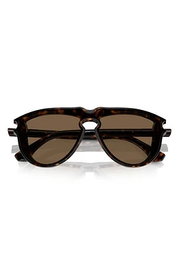 burberry 36mm Pilot Sunglasses in Dk Havana at Nordstrom