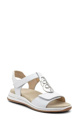 ara Oregon Sandal White Leather at Nordstrom,