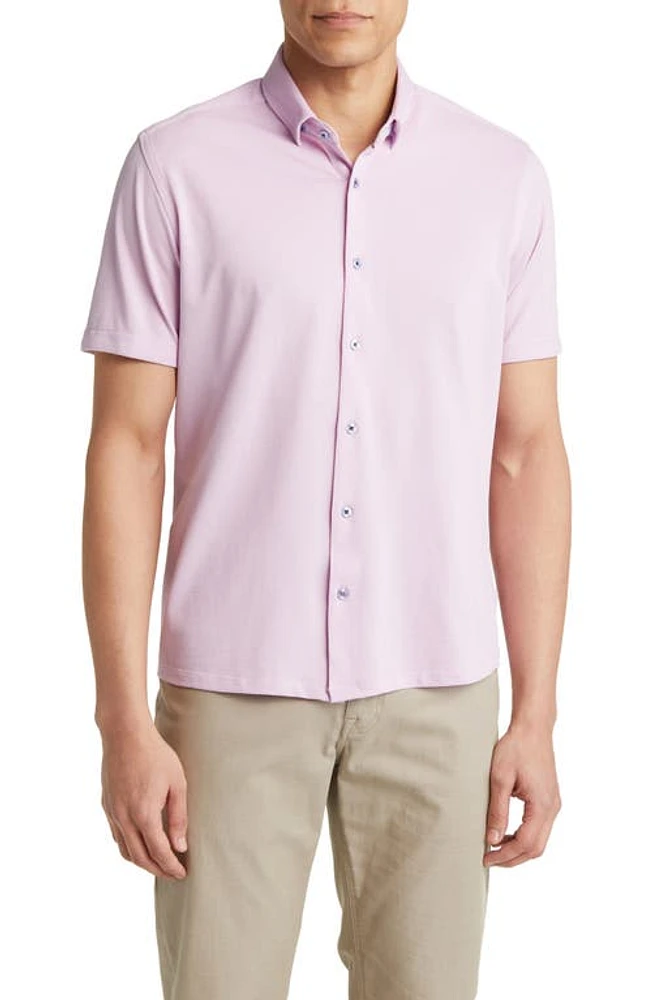 Stone Rose Performance Piqué Short Sleeve Button-Up Shirt Lavender at Nordstrom,