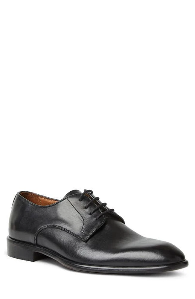 Bruno Magli Salerno Derby in Black at Nordstrom, Size 11