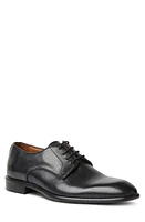 Bruno Magli Salerno Derby in Black at Nordstrom, Size 11