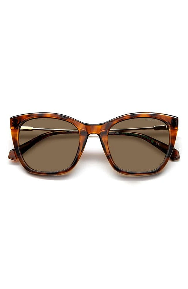 Polaroid 52mm Polarized Cat Eye Sunglasses in Havana/Bronze Polar at Nordstrom