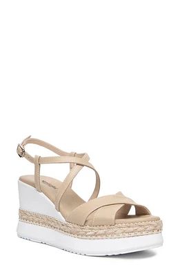 NeroGiardini Ankle Strap Platform Wedge Sandal at Nordstrom,