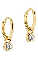 Ted Baker London Sinalaa Crystal Mini Huggie Hoop Earrings in Gold Tone Clear Crystal at Nordstrom