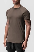 ASRV AeroSilver Established Tee at Nordstrom,