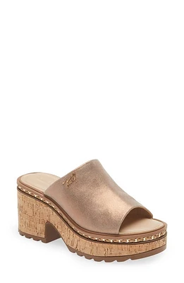 Karl Lagerfeld Paris Clarina Platform Sandal in Latte at Nordstrom, Size 5.5