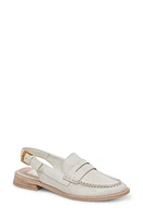 Dolce Vita Hardi Slingback Penny Loafer at Nordstrom,