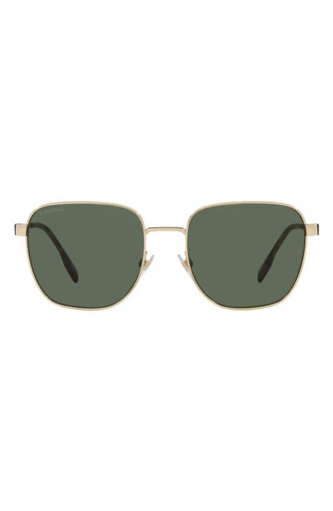 burberry Drew 55mm Square Sunglasses in Green at Nordstrom