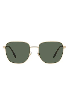 burberry Drew 55mm Square Sunglasses in Green at Nordstrom