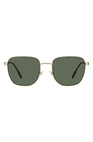 burberry Drew 55mm Square Sunglasses in Green at Nordstrom