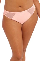 Elomi Charley Full Figure Mesh & Lace Brazilian Briefs at Nordstrom,