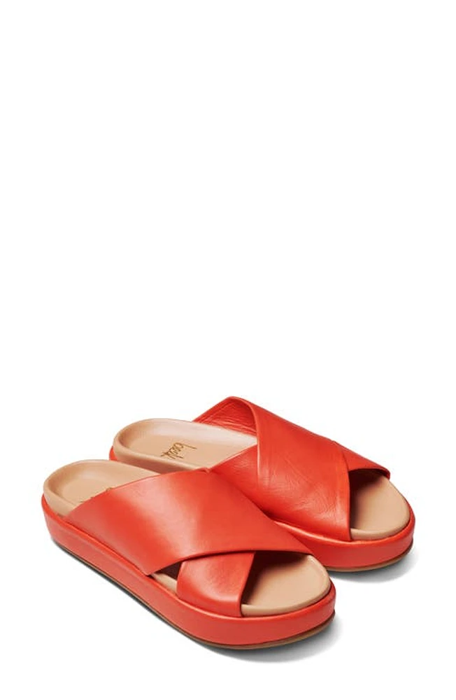 Beek Kite Crisscross Slide Sandal Tangerine at Nordstrom,