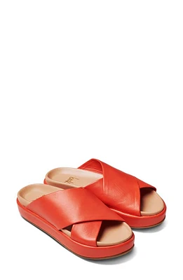 Beek Kite Crisscross Slide Sandal Tangerine at Nordstrom,