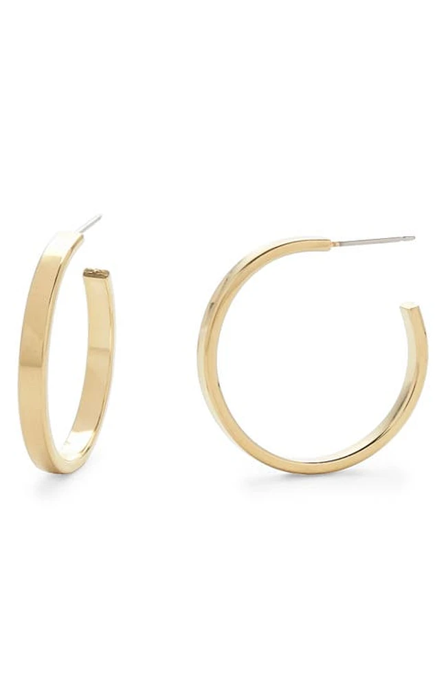 Brook and York Lexi Flat Hoop Earrings in Gold at Nordstrom