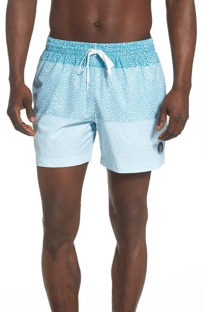 Chubbies 5.5-Inch Swim Trunks The Whale Sharks at Nordstrom,