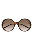 Chloé 58mm Gradient Round Sunglasses in Havana at Nordstrom