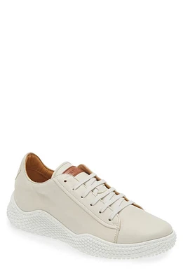 Mezlan Scallop Sneaker at Nordstrom,