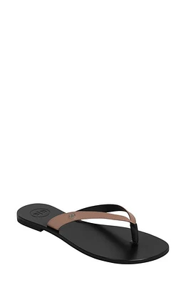 BELLA HA Diana Flip Flop in Sand at Nordstrom, Size 13Us