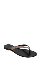 BELLA HA Diana Flip Flop in Sand at Nordstrom, Size 13Us