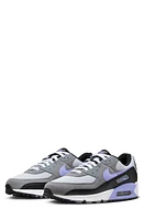 Nike Air Max 90 Sneaker in Photon Dust/Light Thistle at Nordstrom, Size 8