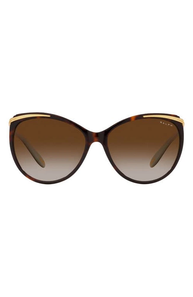 RALPH 59mm Gradient Cat Eye Sunglasses in Brown Gradient at Nordstrom