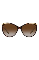 RALPH 59mm Gradient Cat Eye Sunglasses in Brown Gradient at Nordstrom