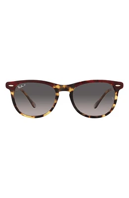 Ray-Ban 56mm Gradient Polarized Square Sunglasses in Bordeaux at Nordstrom