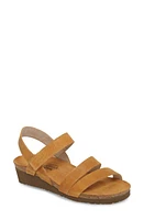 Naot Kayla Wedge Sandal at Nordstrom,