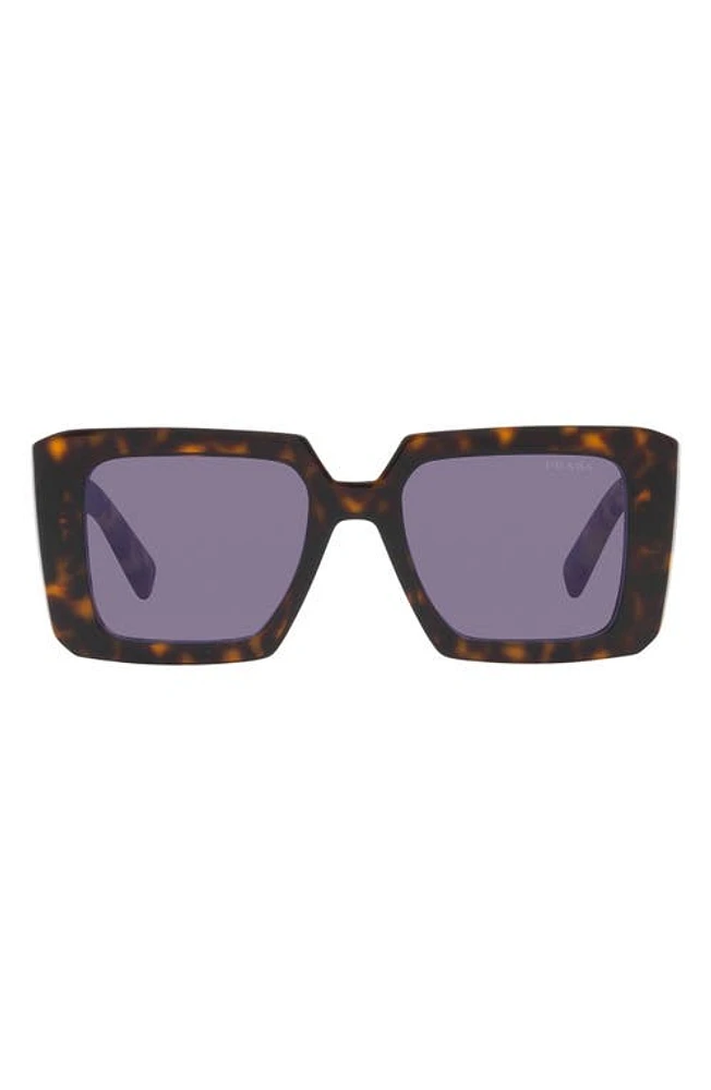 Prada 51mm Tortoise Square Sunglasses at Nordstrom