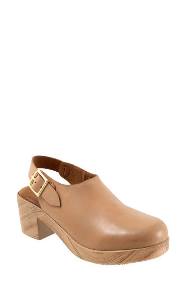 SoftWalk Fairbanks Slingback Platform Clog Tan at Nordstrom,