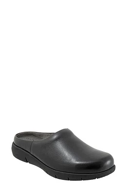 SoftWalk Andria Mule Black at Nordstrom,