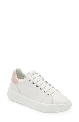 Stuart Weitzman Pro Sleek Sneaker Calf Leather at Nordstrom,