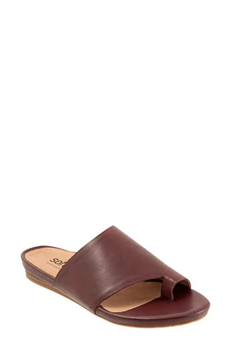 SoftWalk Corsica Slide Sandal Mahogany at Nordstrom,