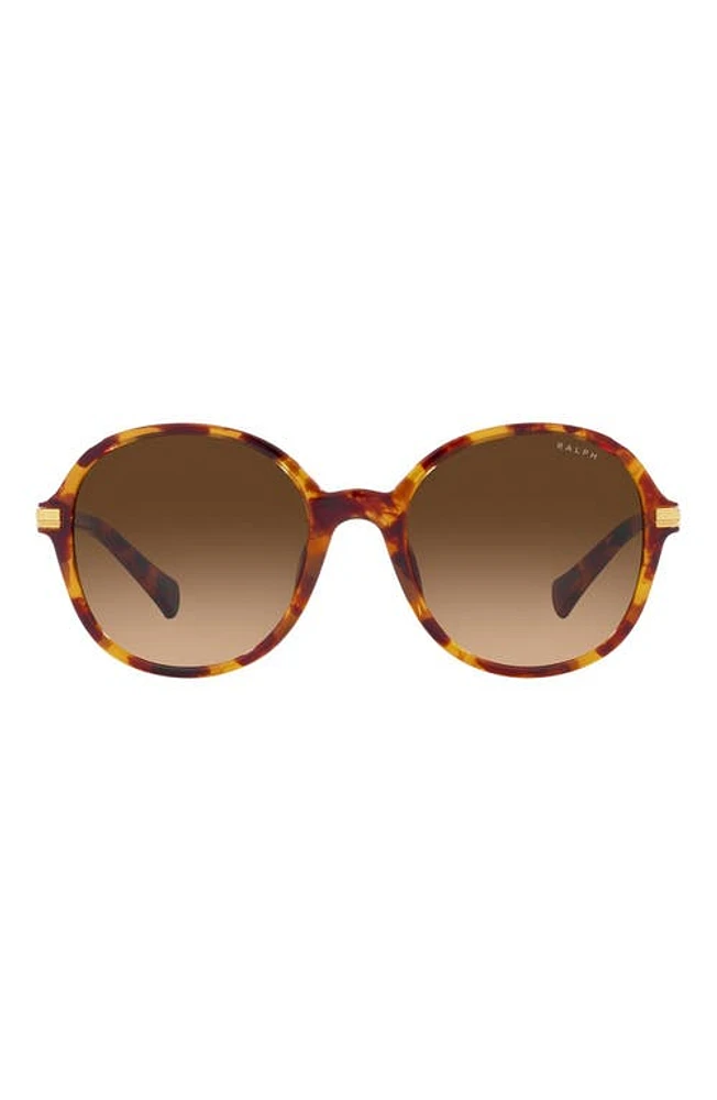 RALPH 54mm Gradient Round Sunglasses in Havana at Nordstrom