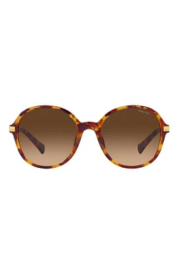 RALPH 54mm Gradient Round Sunglasses in Havana at Nordstrom