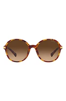 RALPH 54mm Gradient Round Sunglasses in Havana at Nordstrom