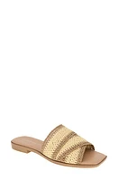 bcbg Lileen Slide Sandal Tan/Natural at Nordstrom,