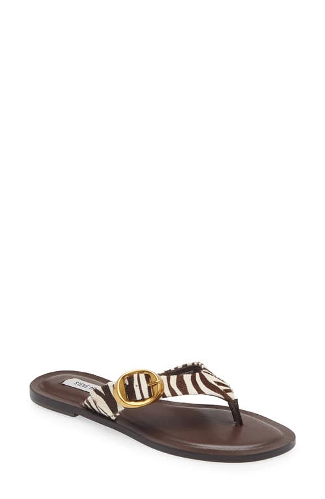 Steve Madden Rays Genuine Calf Hair Flip Flop Zebra at Nordstrom,