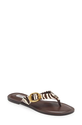 Steve Madden Rays Genuine Calf Hair Flip Flop Zebra at Nordstrom,