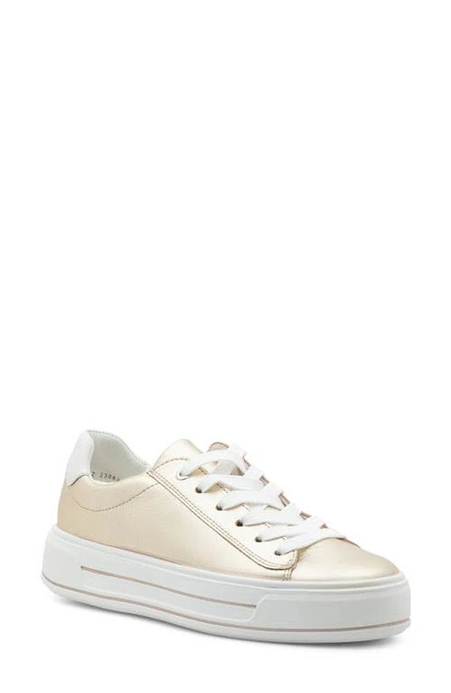 ara Carol Sneaker Platinum at Nordstrom,