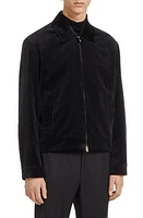 ZEGNA Devoré Cotton Velveteen Evening Bomber Jacket in Black at Nordstrom, Size 44 Us