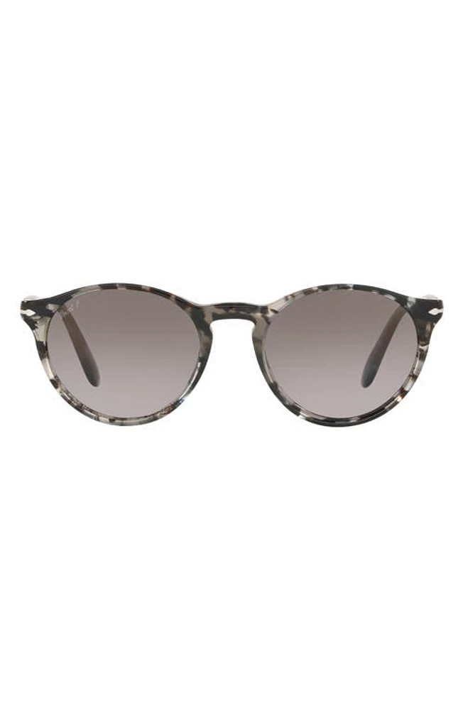 Persol 50mm Polarized Gradient Phantos Sunglasses in Grey Tort at Nordstrom