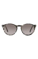 Persol 50mm Polarized Gradient Phantos Sunglasses in Grey Tort at Nordstrom