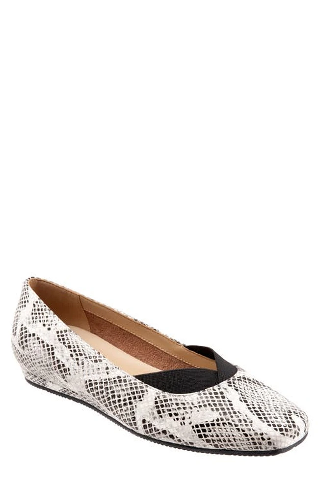 SoftWalk Vianna Flat Black White Snake at Nordstrom,