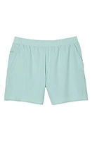 Lacoste Solid Swim Trunks in Lgf Pastille Mint at Nordstrom, Size 5