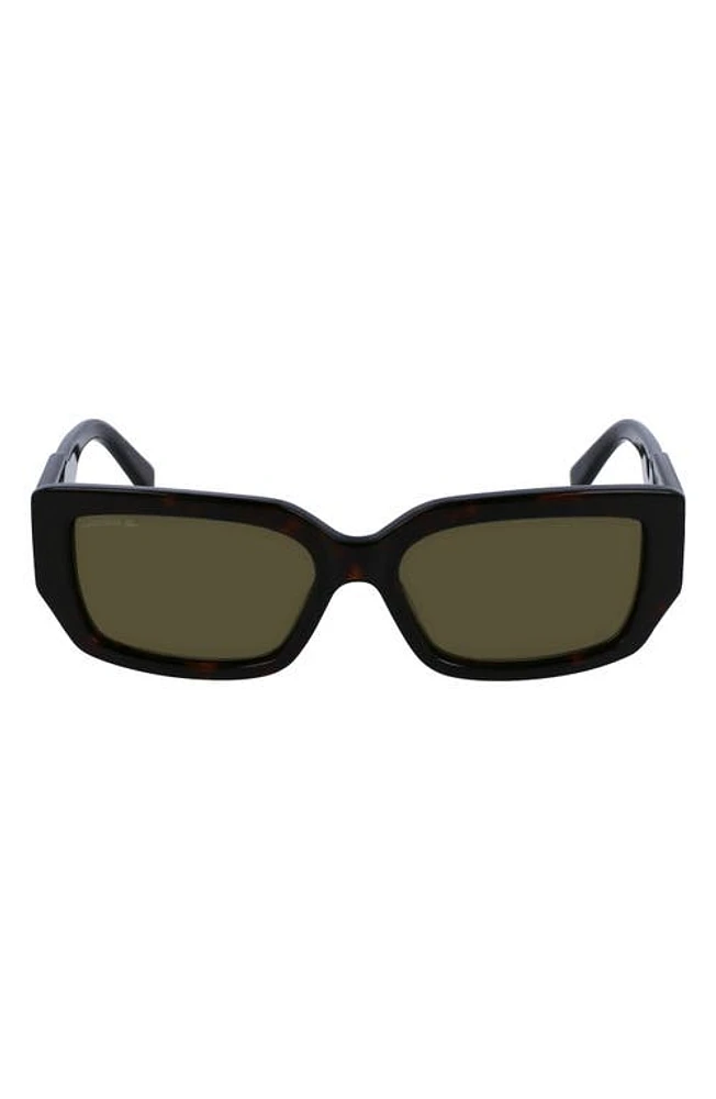 Lacoste 55mm Rectangular Sunglasses in Havana at Nordstrom